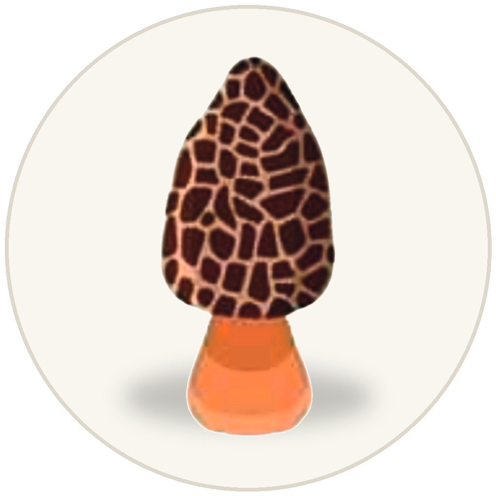 Wholesale Veselka logo